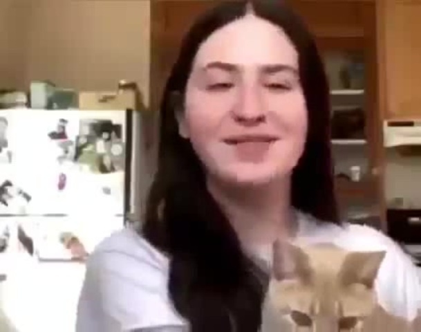 Based Cat Coub The Biggest Video Meme Platform