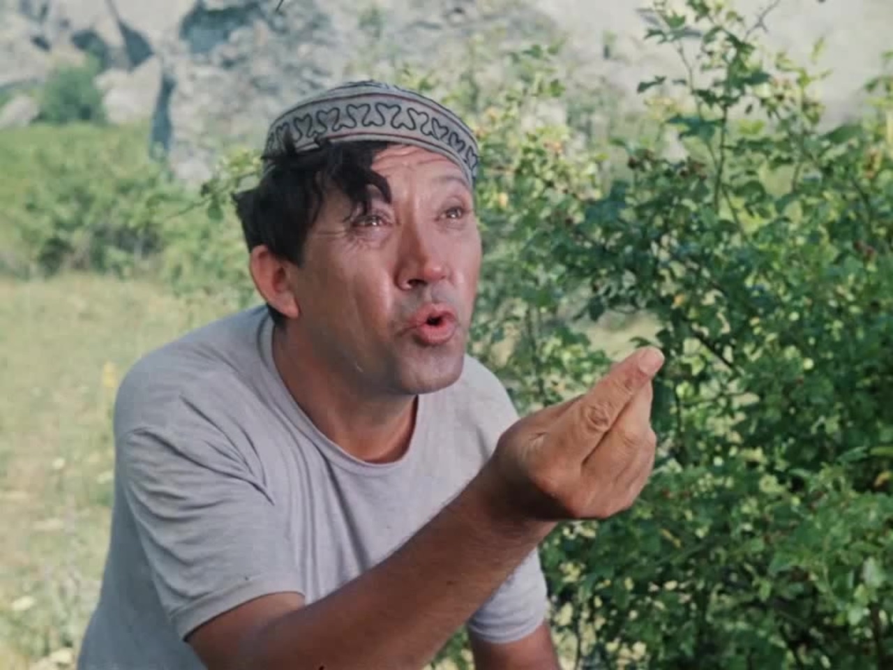 Кавказкая пленица