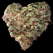 Coub - Sweet Leaf