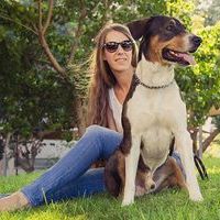 The Online Dog Trainer Review: Legit or a Scam?