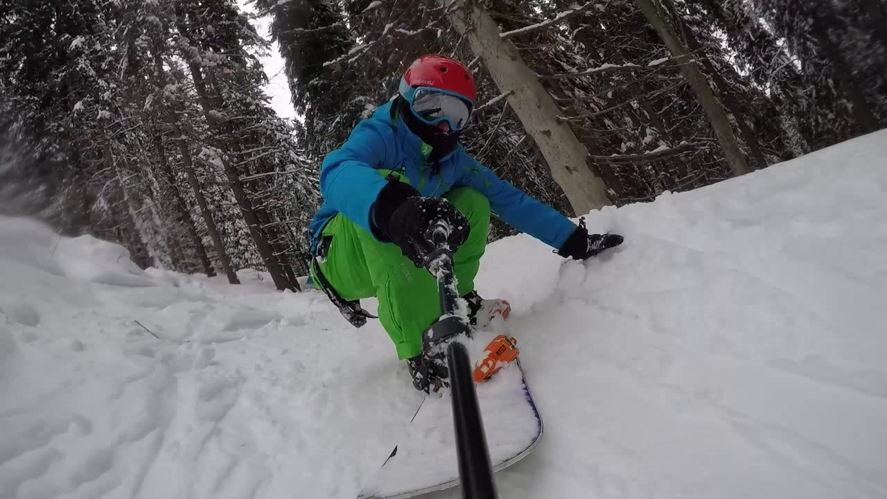 knees and trees Coub The Biggest Video Meme Platform