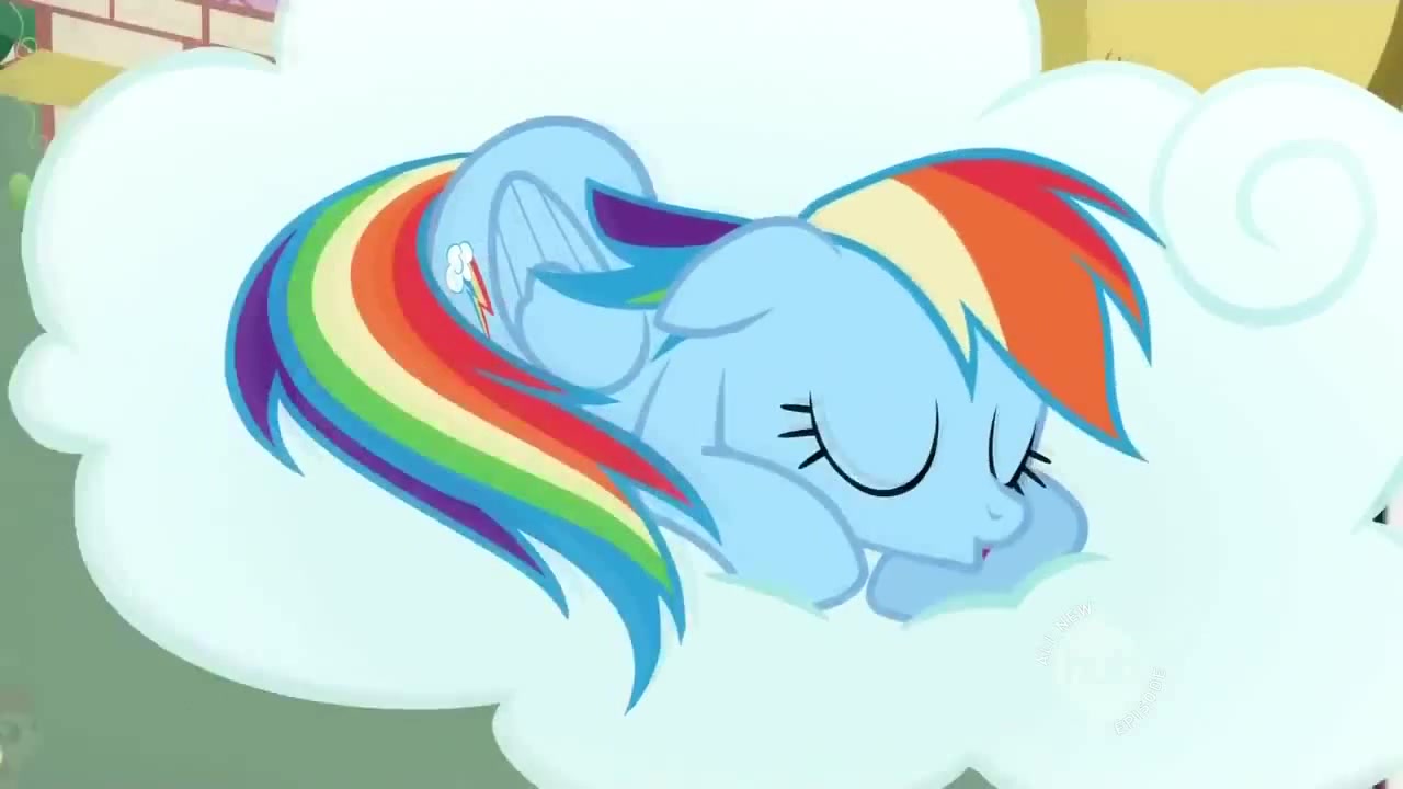 Rainbow Dash Need Some Sleep - Coub - The Biggest Video Meme Platform