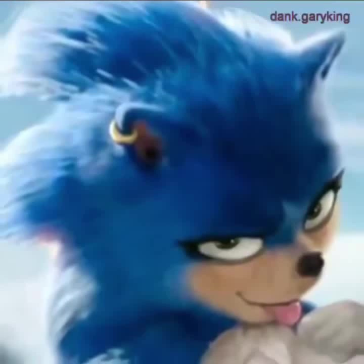 thicc sonic ex- - Coub - The Biggest Video Meme Platform