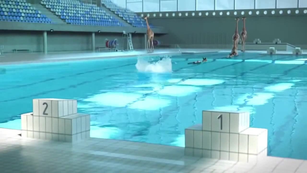 High Diving Giraffes Coub The Biggest Video Meme Platform