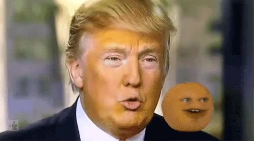 Hey Mr. Tangerine Man. - Coub - The Biggest Video Meme Platform