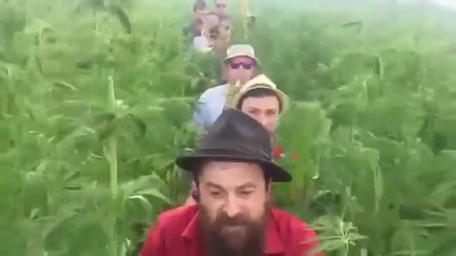 Песня нормальные герои всегда идут. Dobranotch нормальные герои.