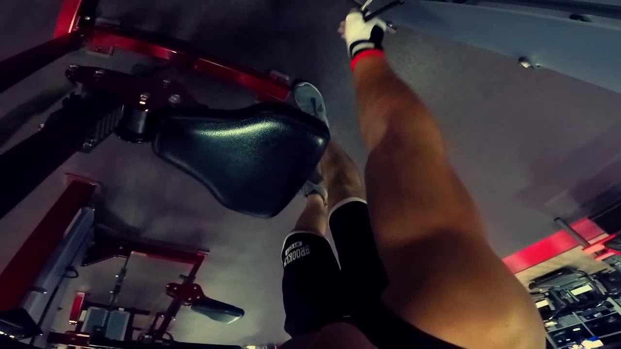 �������� SP Labs ������: ����.