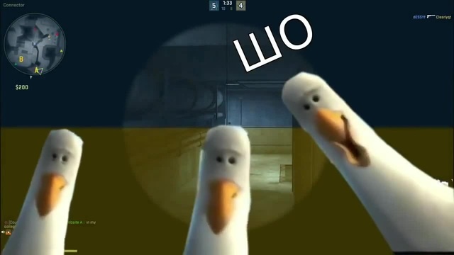Шо шо шо шо - Coub - The Biggest Video Meme Platform