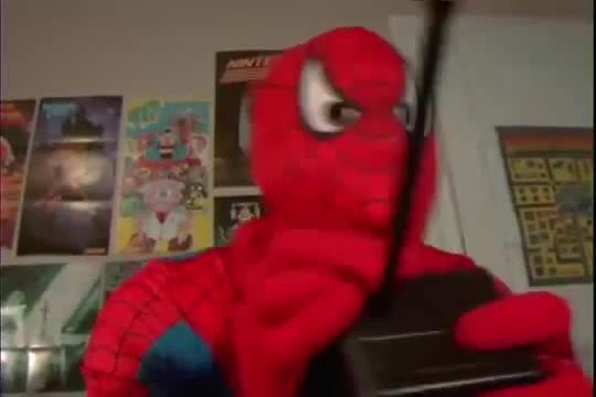 Spiderman - Coub - The Biggest Video Meme Platform
