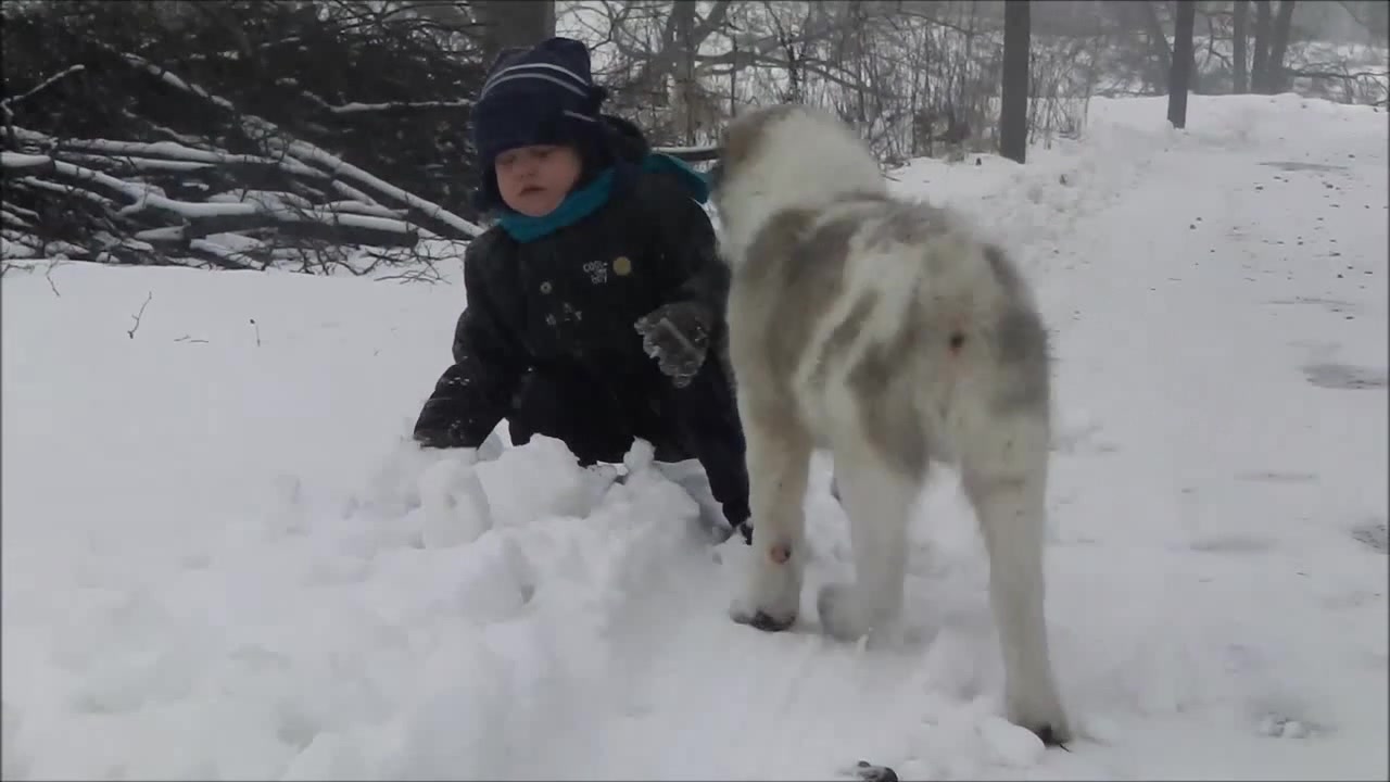 Страшнее бабы зверя нет картинки