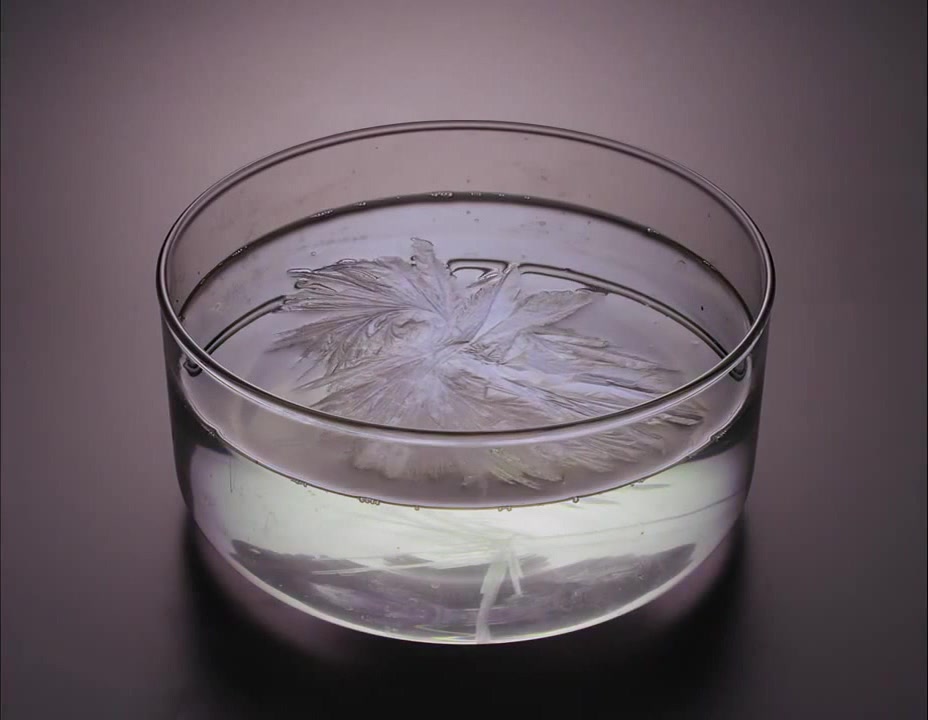 Лед в соленой воде. Стакан воды со льдом. Замороженная вода в стакане. Лед в стакане. Замерзшая вода в стакане.