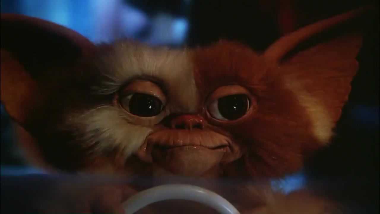 Gremlins (1984) - Coub - The Biggest Video Meme Platform