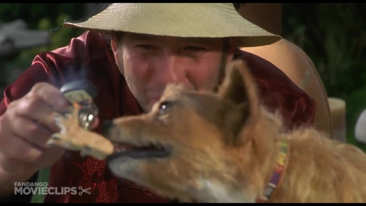 Dude, Where's My Car? (1/5) Movie CLIP Stoner Dog (2000) HD Coub