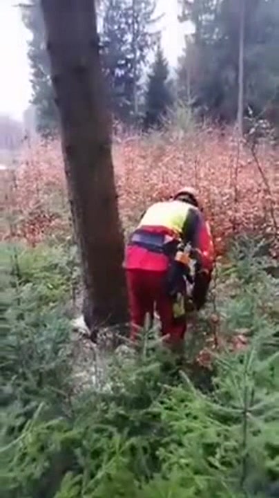 “Achtung! Baum fällt!Oh, scheiße.... https://t.co/OnAmaaCxYh” - Coub ...
