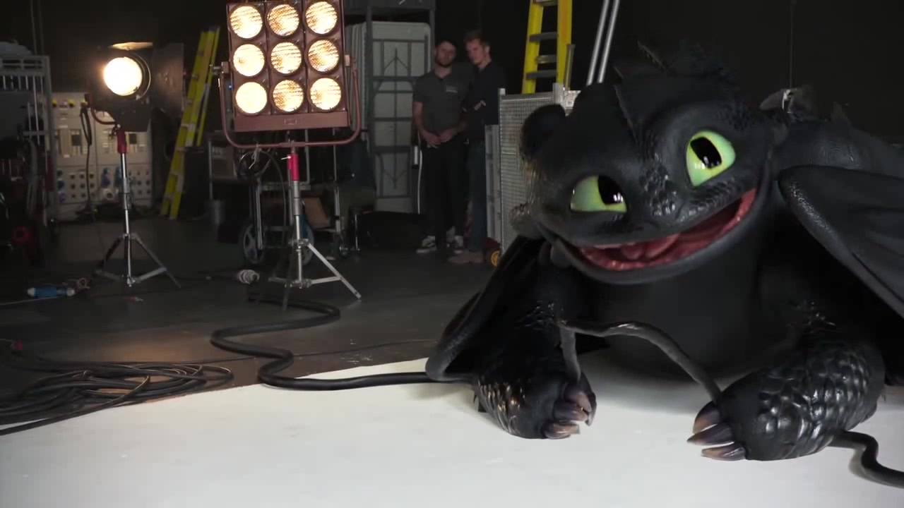 Toothless in real life - Coub - The Biggest Video Meme Platform