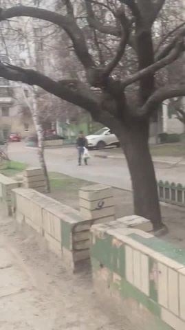 Толик Щелбан - Coub - The Biggest Video Meme Platform