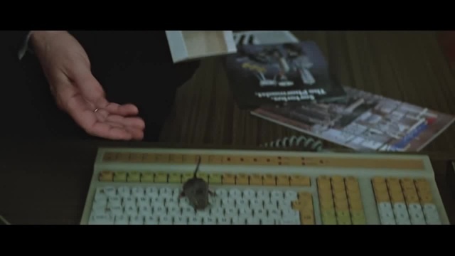 Берегите мужчин! (1982) - Coub - The Biggest Video Meme Platform