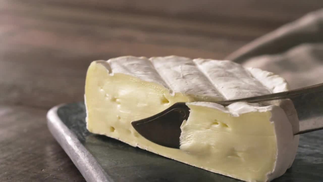 cheese satisfaction Coub The Biggest Video Meme Platform