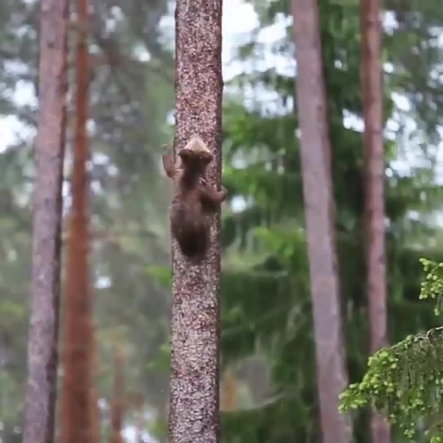 Монтажники-Высотники. - Coub - The Biggest Video Meme Platform