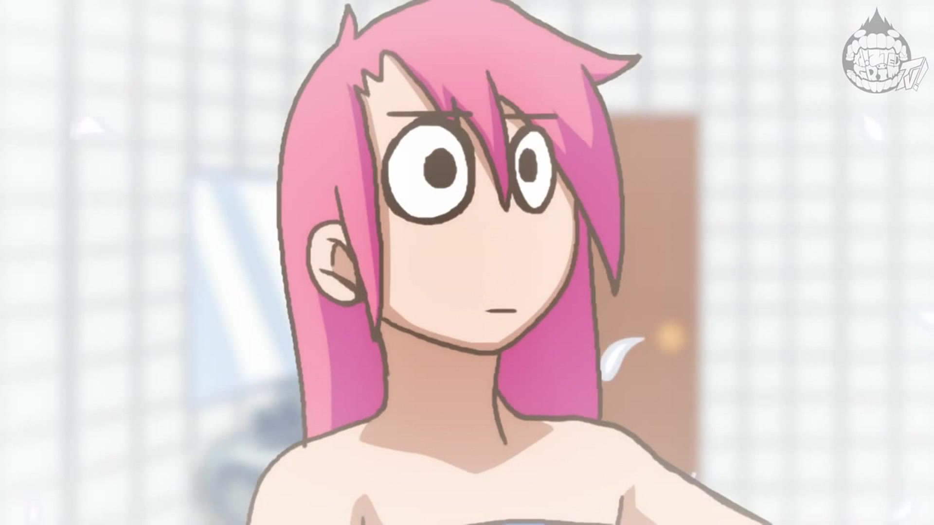 Shark in the bathtub( from SLIPPERY SHOWER ) - Coub - The Biggest Video  Meme Platform