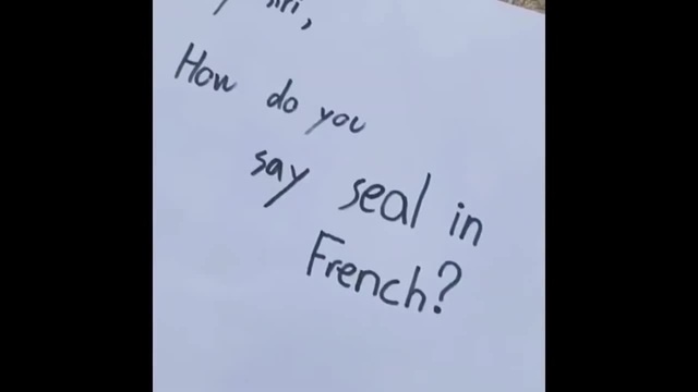 How Do You Say Seal In French Meme How do you say seal in French? - Coub - The Biggest Video Meme Platform