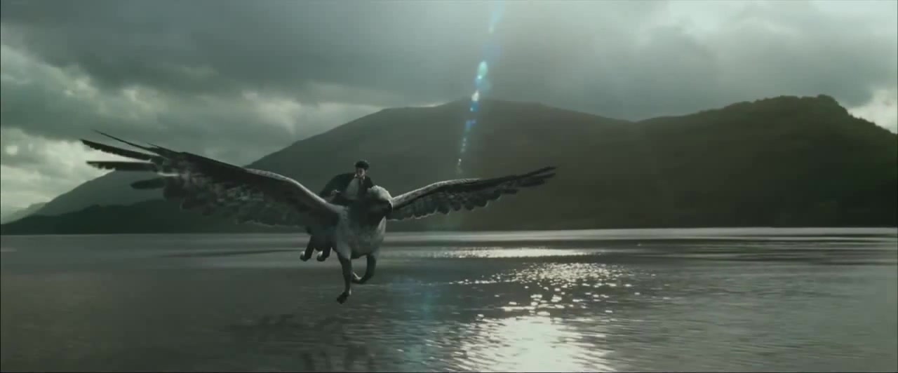 harry potter flying on buckbeak