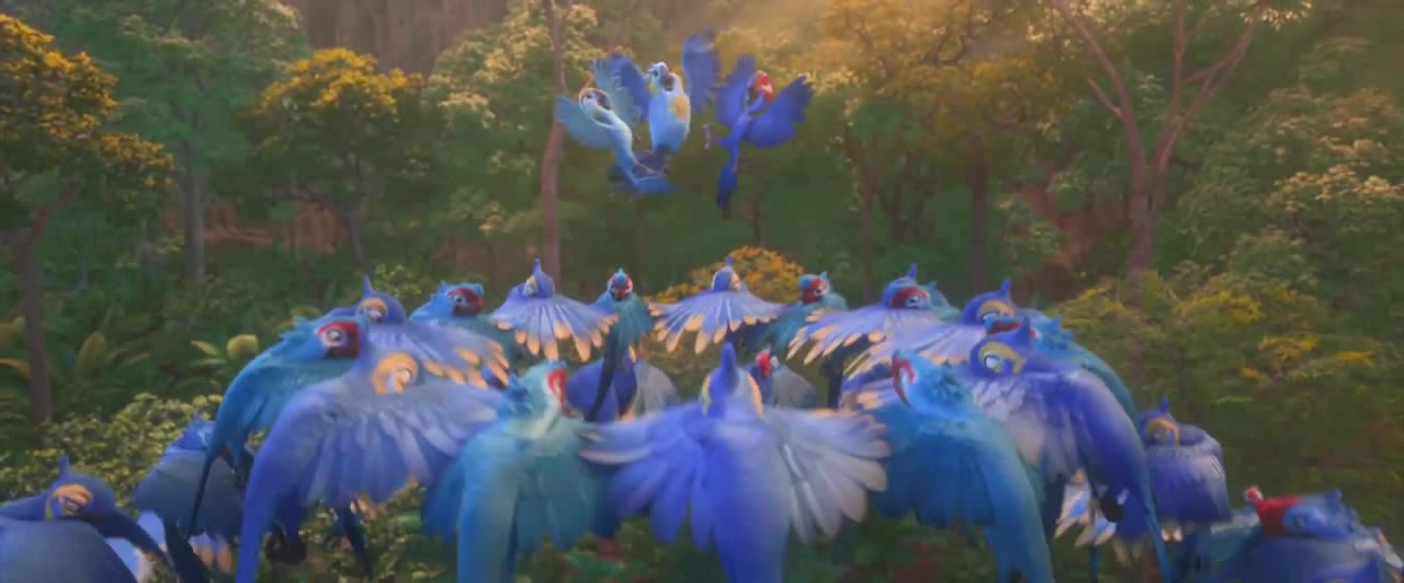 Rio 2 - Beautiful Creatures Song - Coub - The Biggest Video Meme Platform