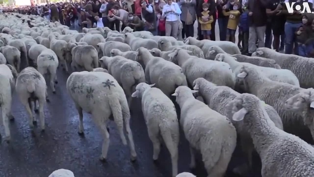 pénisznagyobbítás hossza