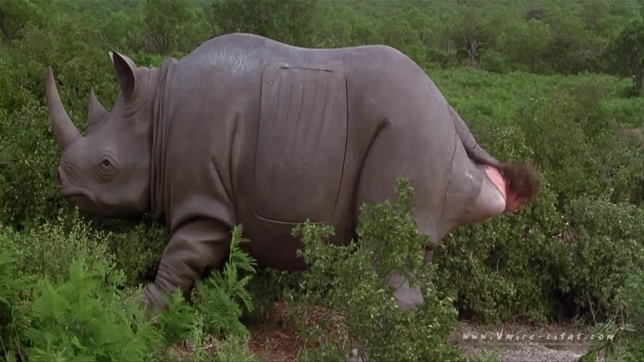 Эйс Вентура 2 - "Я маленький любопытный носорог" - эпизоды, цитат...