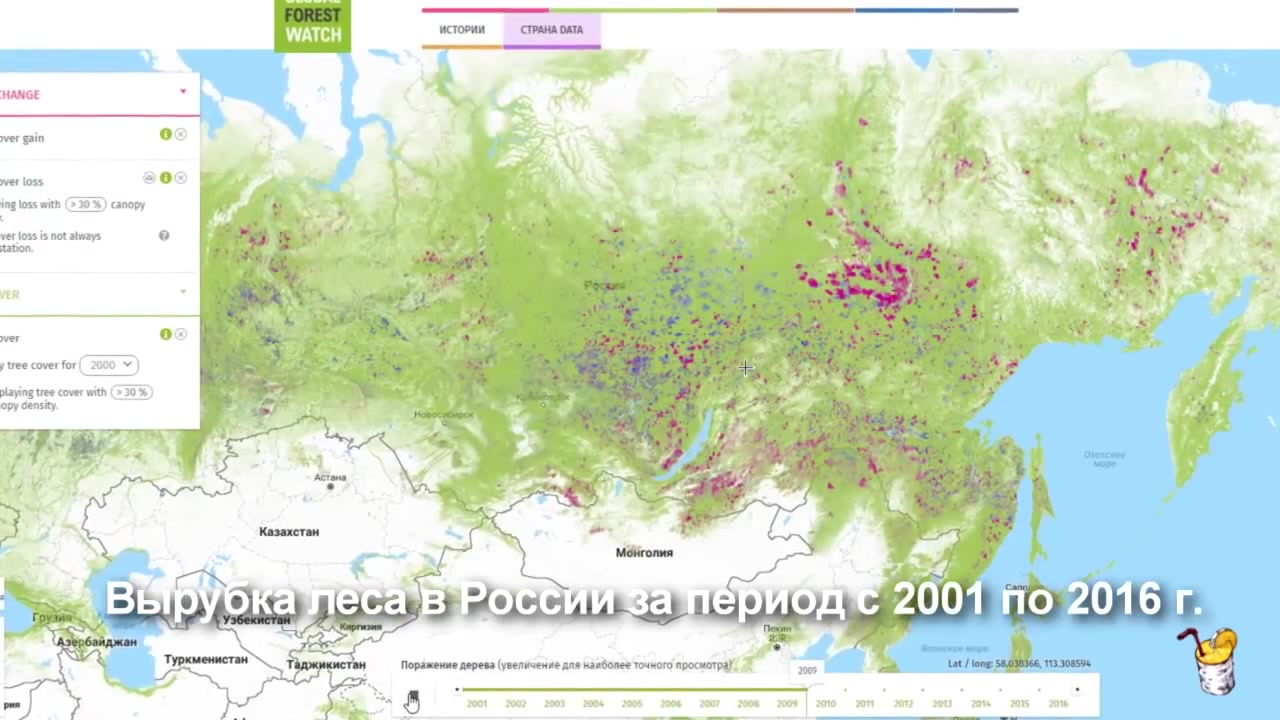 Карта сибири с вырубленным лесом