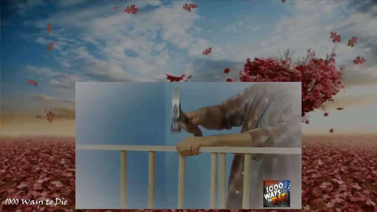 1000 WAYS TO DIE 239 (CRIB YOUR ENTHUSIASM) Coub The Biggest