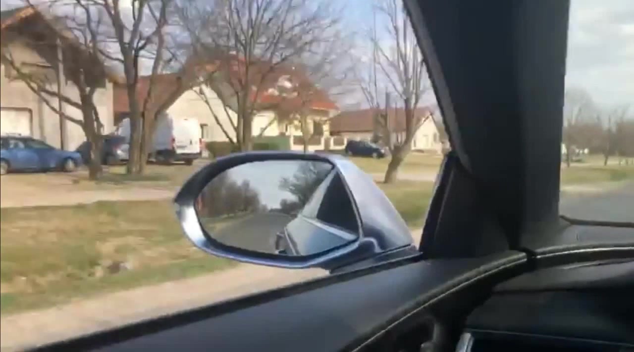 Good morning neighbours Coub The Biggest Video Meme Platform