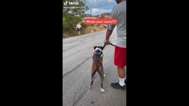 What's your name tony ezekiel-original edition - Coub - The Biggest ...