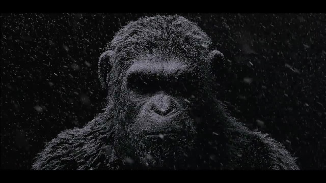 Умное лицо - не признак ума - Coub - The Biggest Video Meme Platform