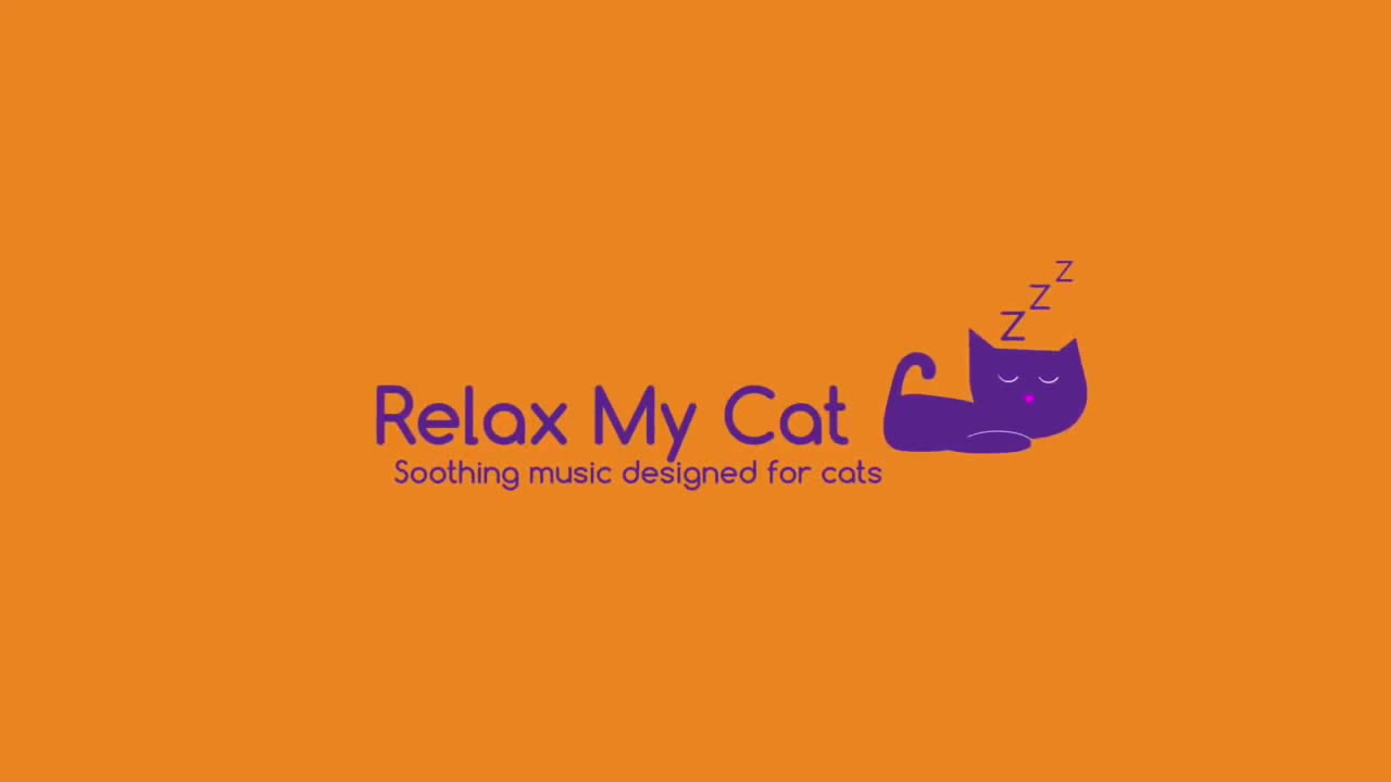 Cat Calming Music Help Your Pet Relax STRESS01 Coub The Biggest