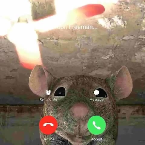 Gordon Freeman Would Like To Facetime (rat Meme) /SFM/ - Coub - The ...