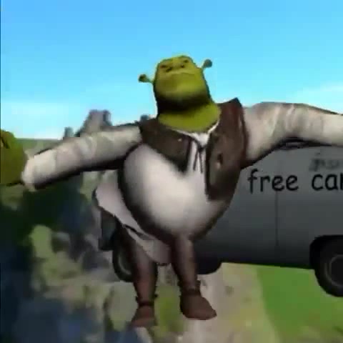 Shrek Twerk - Coub - The Biggest Video Meme Platform