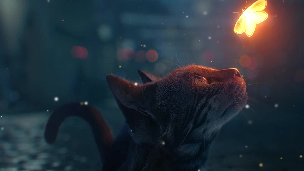 Cat Looking at Glowing Butterfly #wallpaperengine (M83 - Oblivion (feat ...