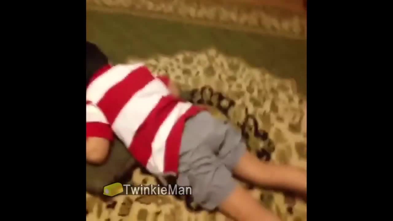 Kid Smacked by Fly Swatter 3 Coub The Biggest Video Meme Platform