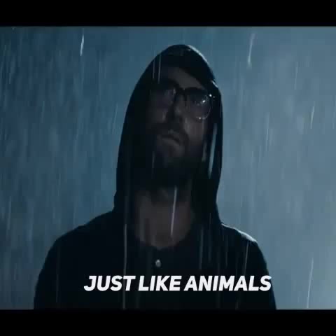 Maroon 5 - Animals in Misheard Lyrics Show on YouTube #misheardlyrics  #maroon5 #amimals - Coub - The Biggest Video Meme Platform