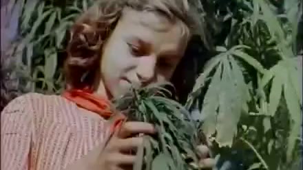 Пионерка вырастила коноплю купить гашиш марихуану