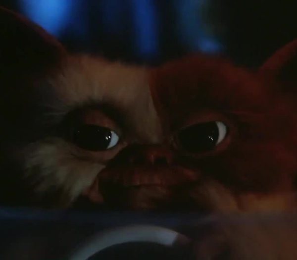 Gremlins (1984) - Coub - The Biggest Video Meme Platform