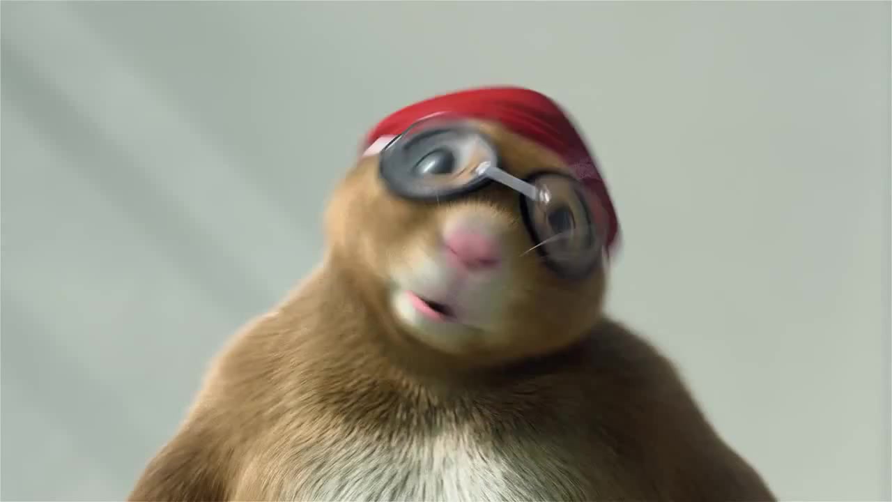 Hamster - Coub - The Biggest Video Meme Platform