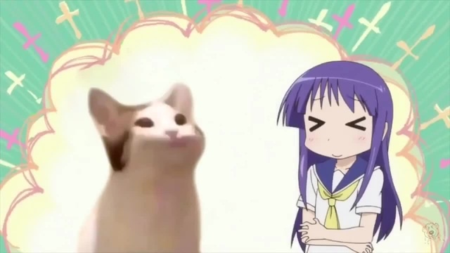Pop cat and Yuyushiki - Coub - The Biggest Video Meme Platform