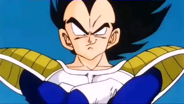 Dragon Ball Z: Goku vs Vegeta - Coub - The Biggest Video Meme Platform