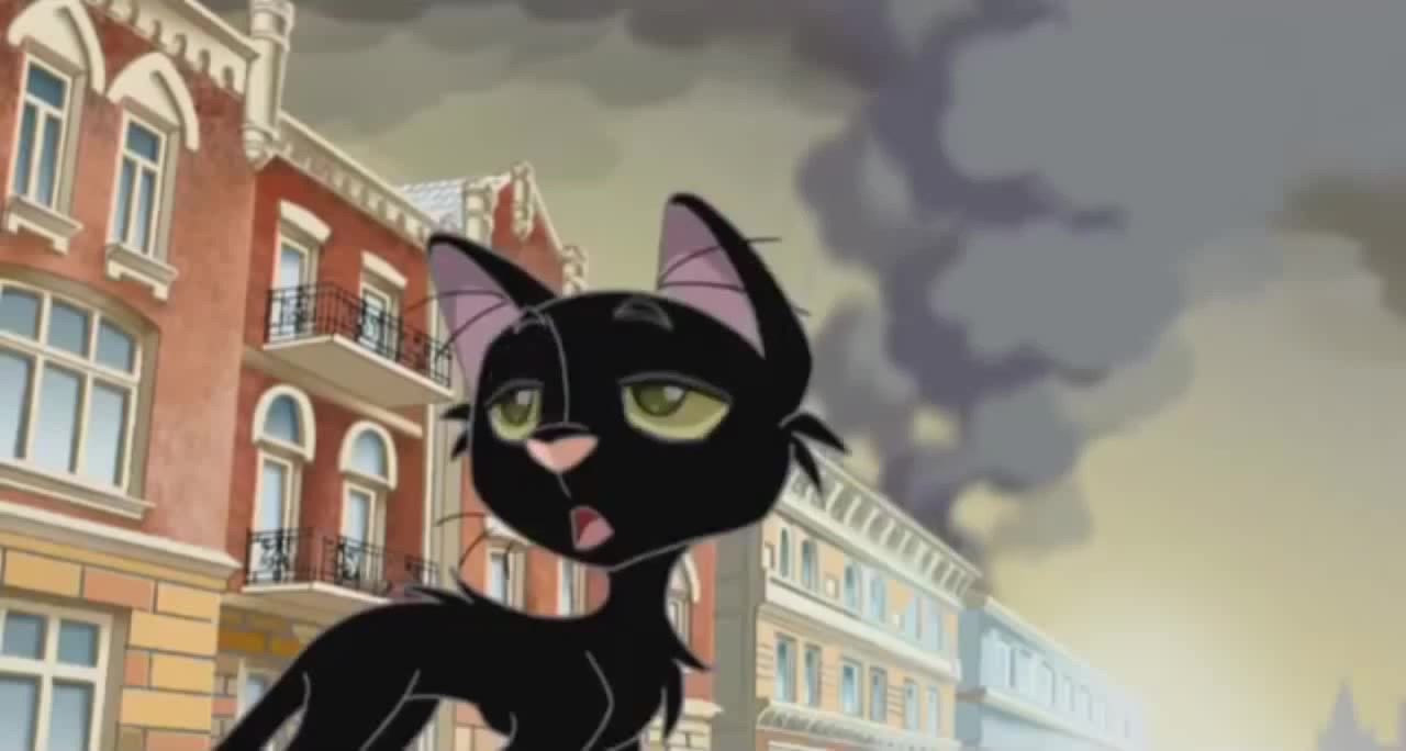 Черный кот - Coub - The Biggest Video Meme Platform