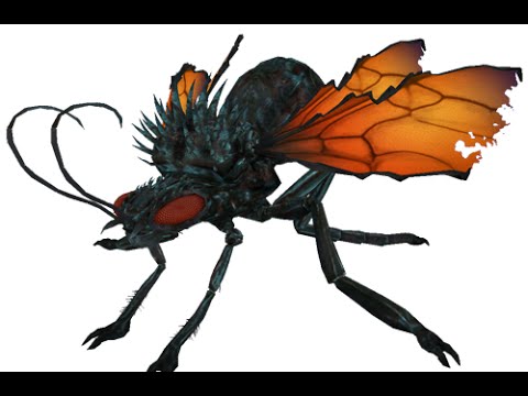 fallout new vegas legendary cazador