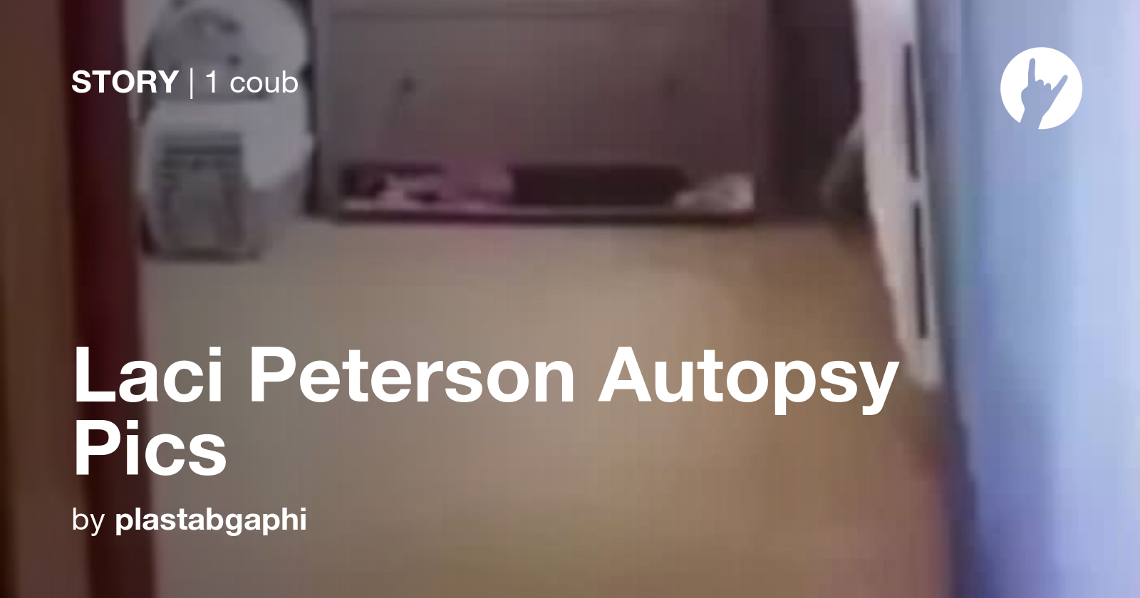 Laci Peterson Autopsy Pics Coub