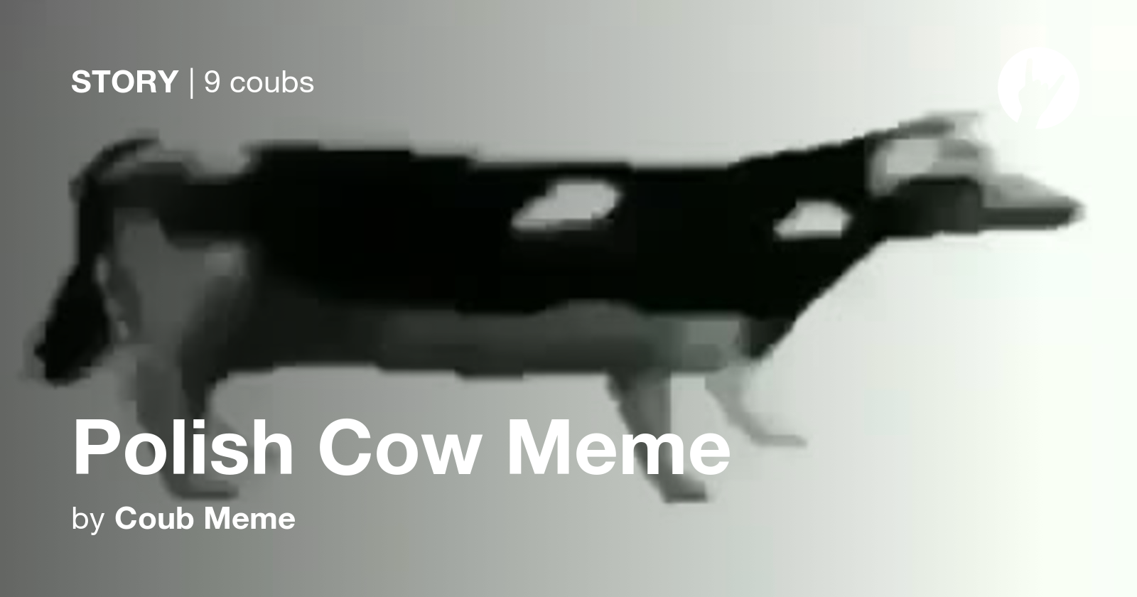 Polish Cow Meme Coub