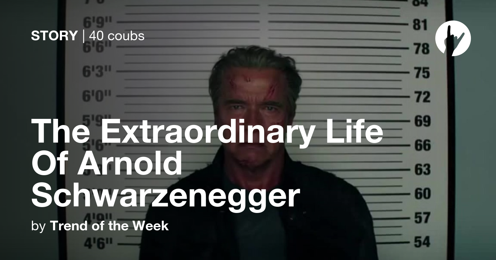 The Extraordinary Life Of Arnold Schwarzenegger - Coub